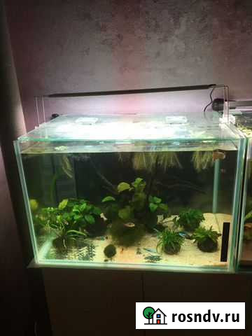 Аквариум Любучаны - изображение 1