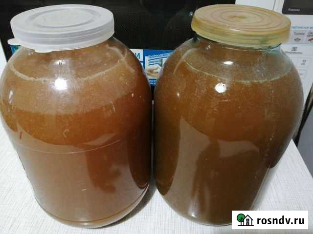 Мед Электроугли - изображение 1