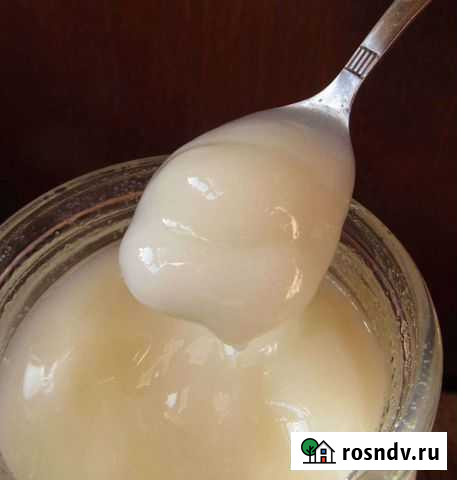 Барсучий жир от охотника Хабаровск - изображение 1