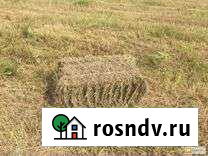 Продам сено в квадратных тюках Алексеевка - изображение 1