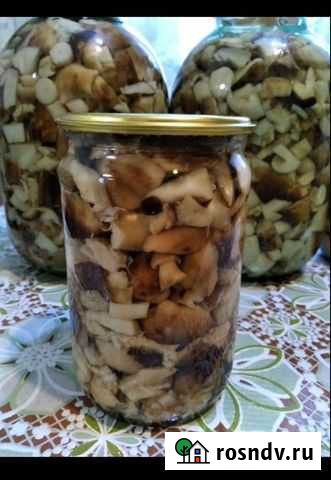 Грибы морозики Балаково - изображение 1