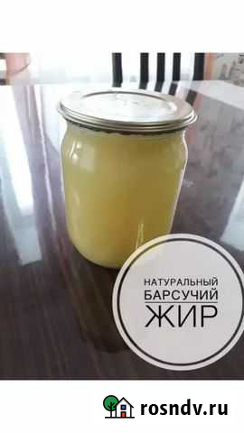 Барсучий жир от охотника Железногорск - изображение 1