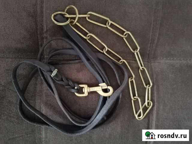 Ринговка для собак Таштагол - изображение 1