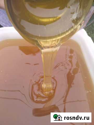 Мёд Сыктывкар - изображение 1