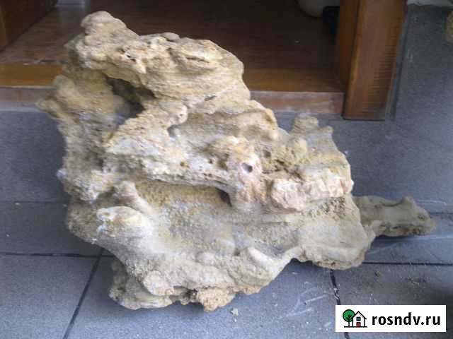 Камни для аквариума Таганрог - изображение 1