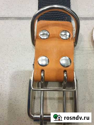 Ошейник для собак Мытищи - изображение 1