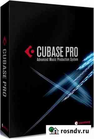 Cubase 11 Pro Люберцы