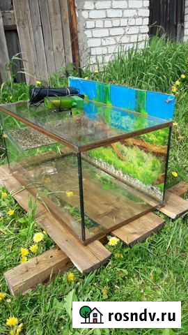 Террариум для черепахи Рязань - изображение 1