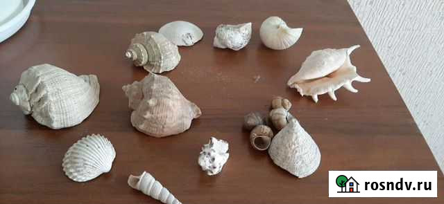 Ракушки, камни, грунт для аквариума Самара - изображение 1