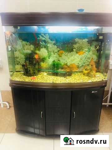 Аквариум с тумбой Комсомольск-на-Амуре - изображение 1