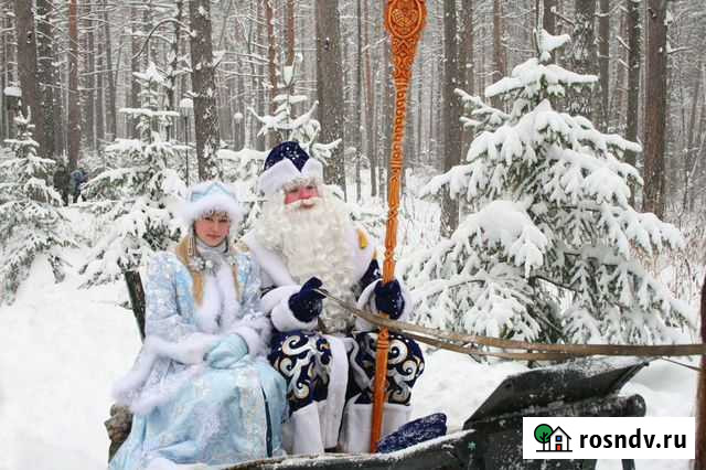 Дед Мороз и Снегурочка катание,программы на дому Барнаул - изображение 1