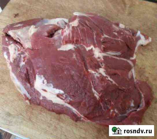 Мясо говядина Тамбов