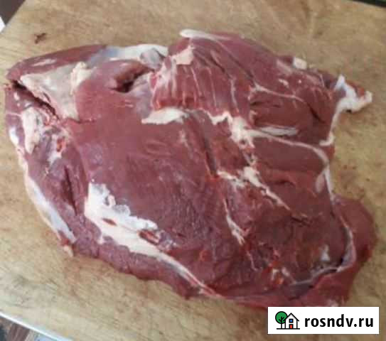 Мясо говядина Тамбов - изображение 1