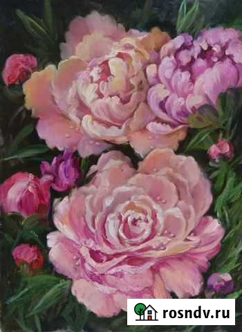 Пионы (холст,масло) размер 70 х 50 Рязань - изображение 1