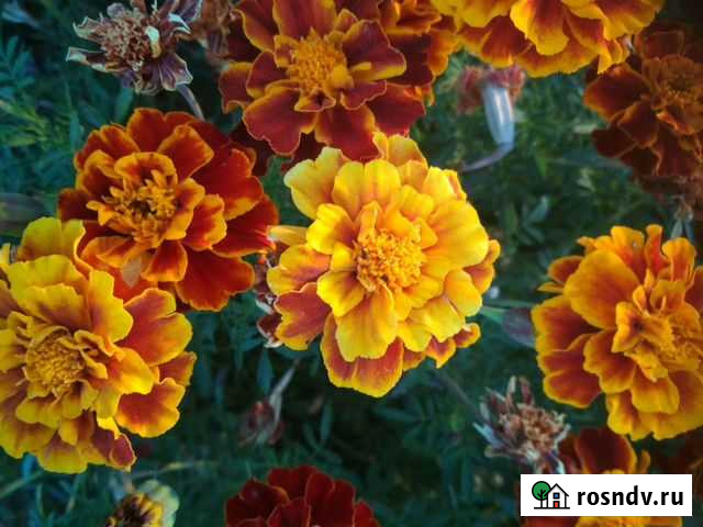 Косметология Волгоград - изображение 1