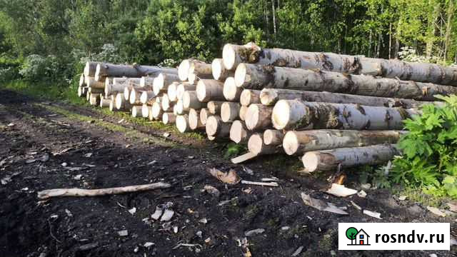 Лес кругляк Козулька - изображение 1