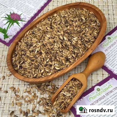 Расторопша пятнистая Челбасская - изображение 1