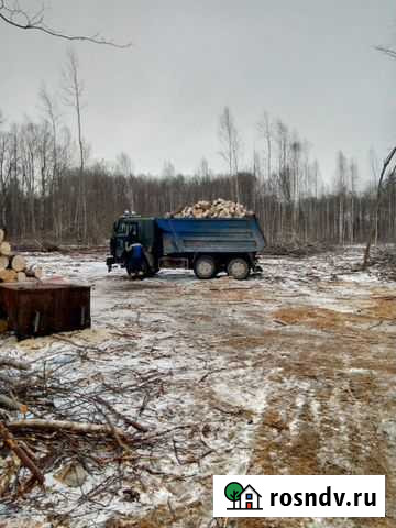 Дрова Старая Русса - изображение 1