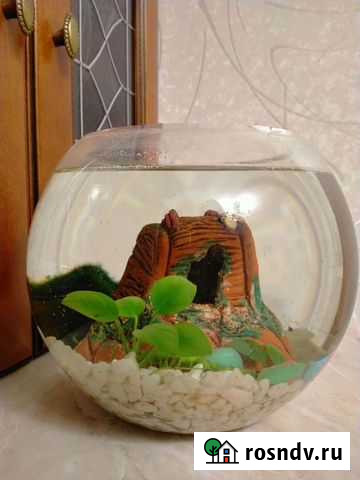 Аквариум Рязань - изображение 1