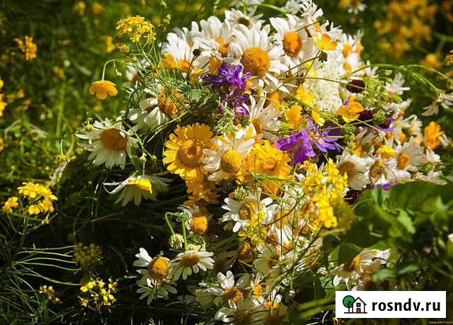 Натяжные потолки Сергиев Посад - изображение 1