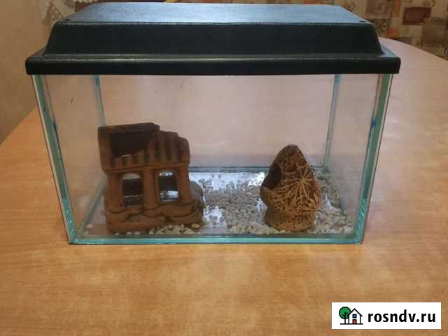 Аквариум Долгопрудный - изображение 1