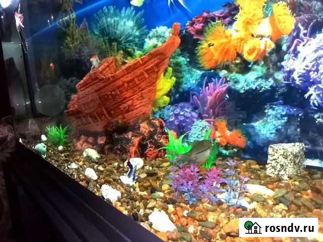 Аквариум Шикарный Большой Абакан - изображение 1