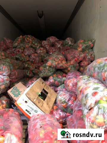 Перец болгарский оптом Коммунарка - изображение 1