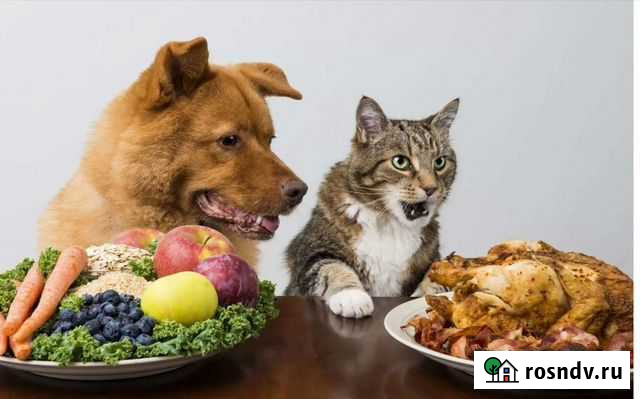 Мясо фарш овощи фрукты молоко творог и др на корм Можайск - изображение 1