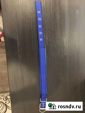 Ошейник для собак Ульяновск - изображение 1