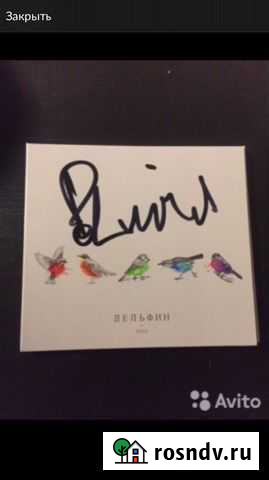 Dolphin/Дельфин (Автограф) Оренбург - изображение 1