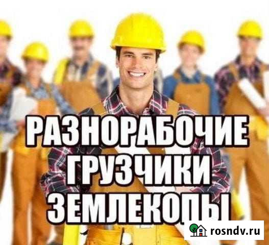 Грузчики Разнорабочие Покос травы Вязьма - изображение 1