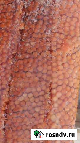 Ястык горбуши Владивосток - изображение 1