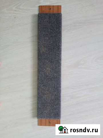 Когтеточка Мурино - изображение 1