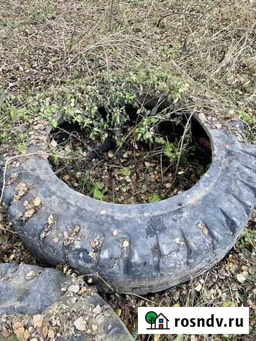 Резина от белаза Большая Ирба - изображение 1