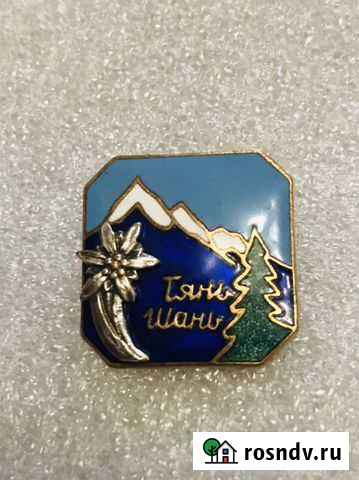 Значок Тянь Шань Казань - изображение 1