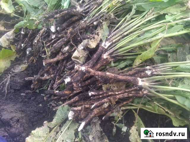 Продукты питания Киреевск - изображение 1