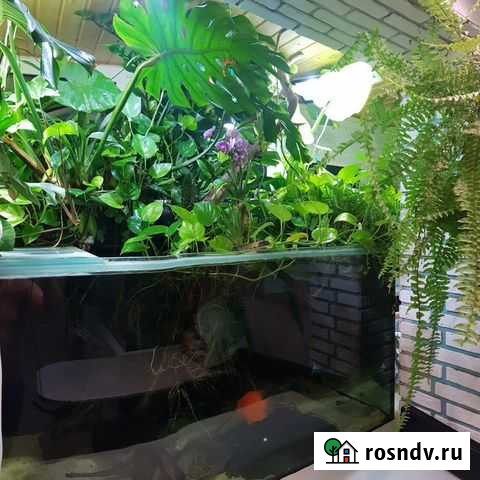 Изготовление Сампов, фитофильтров, аквариумов Подольск - изображение 1