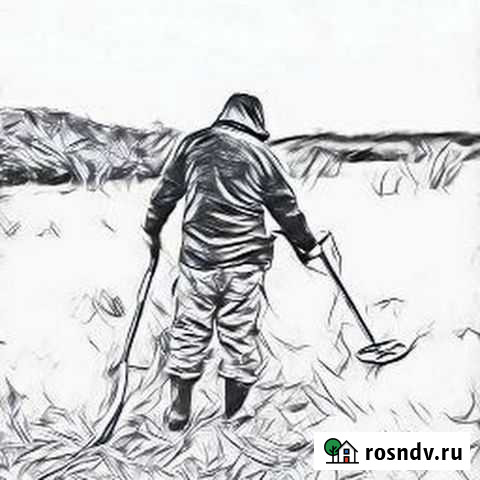 Услуги металлоискателя Ульяновск - изображение 1