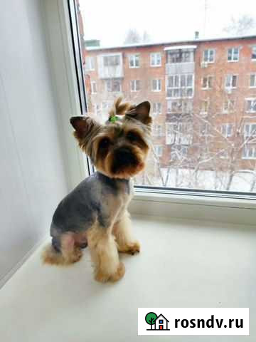 Вязка Кемерово - изображение 1