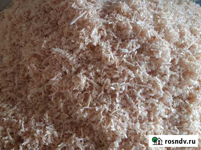 Стружка хвои Сиверский - изображение 1