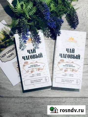 Чага Бийск - изображение 1