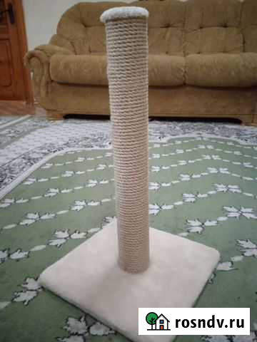 Когтеточка Пугачев - изображение 1