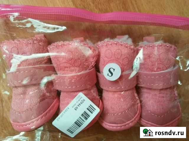 Обувь для домашних мини-питомцев Чалтырь - изображение 1