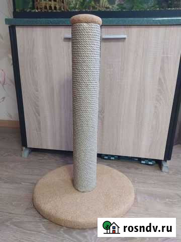 Когтеточка Обнинск - изображение 1