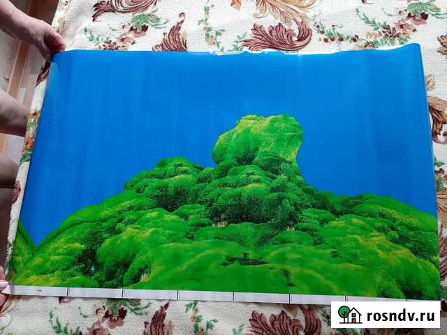 Продам двусторонний фон для аквариума Новокузнецк - изображение 1