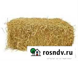 Солома Ефремов - изображение 1