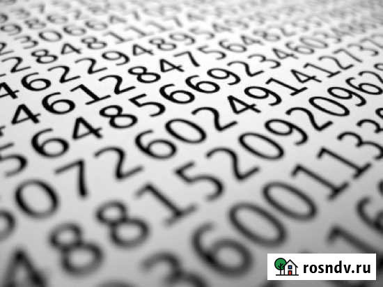 Информатика Великий Новгород - изображение 1