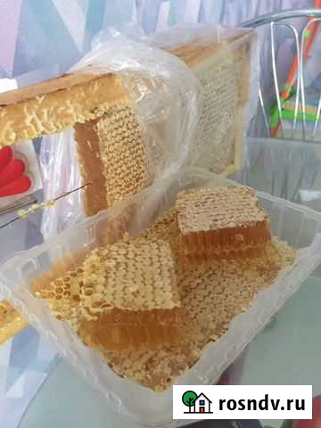 Башкирский мед и все виды пчелопродуктов Салават - изображение 1