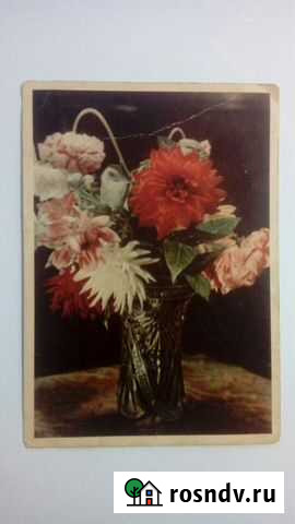 Открытка СССР Цветы. Фото И Шагина 1949г Брянск - изображение 1