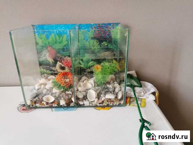 Аквариум Кемерово - изображение 1